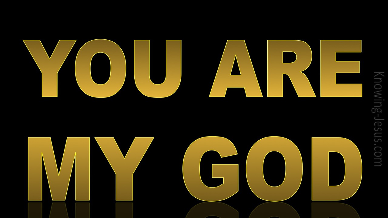 Psalm 118:28 You  Are My God (gold)